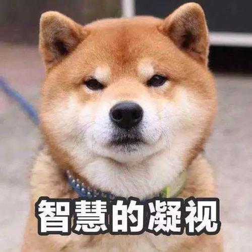 Ϊʲô˵ů²22(ͼ6)